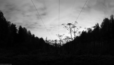 Black City #6