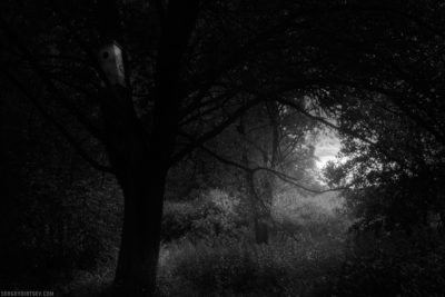 Silence #5